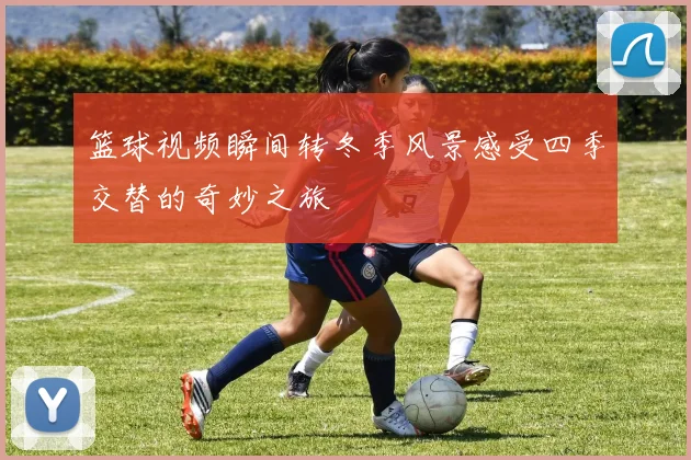 篮球视频瞬间转冬季风景感受四季交替的奇妙之旅