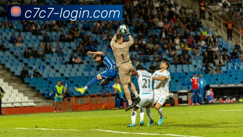 App Interface Preview